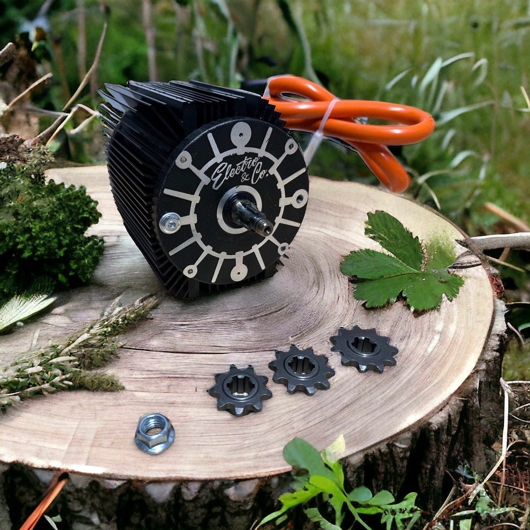 The "One" Brushless Motor