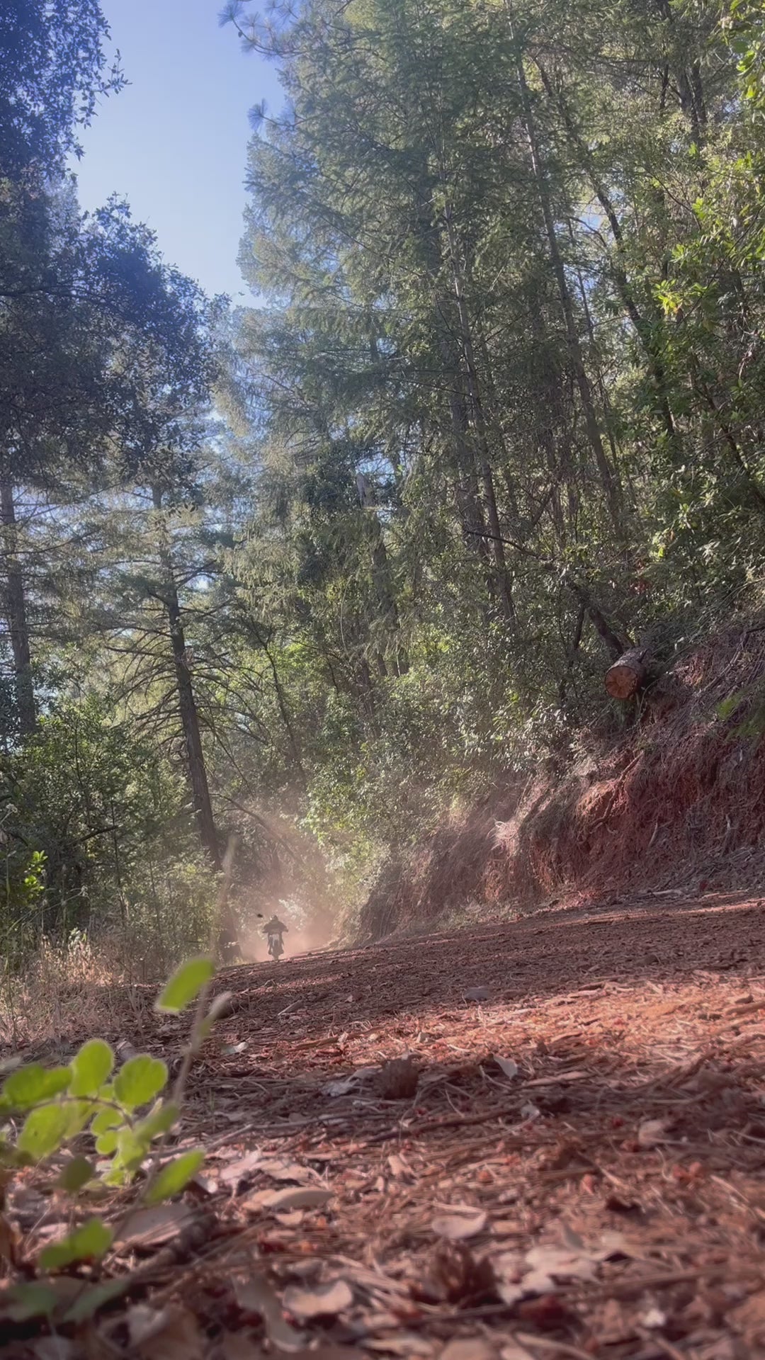 Extreme 11,000W Razor Kit