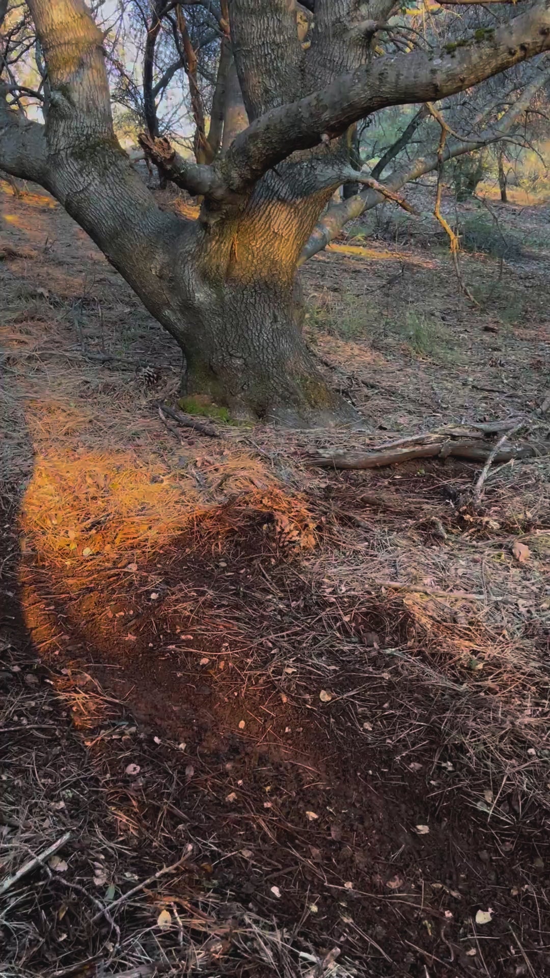 Extreme 11,000W Razor Kit